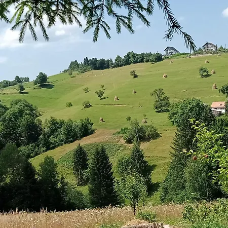 On The Hill Villa Brasov