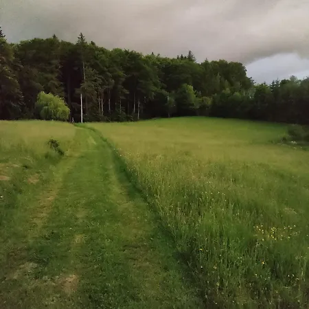 On The Hill